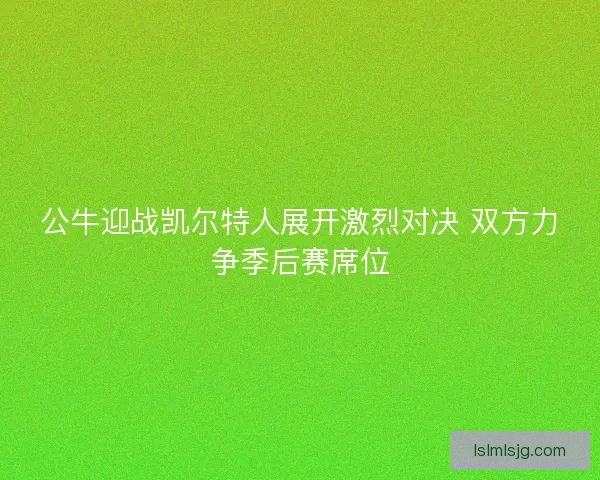 公牛迎战凯尔特人展开激烈对决 双方力争季后赛席位 公牛迎战凯尔特人展开激烈对决 双方力争季后赛席位